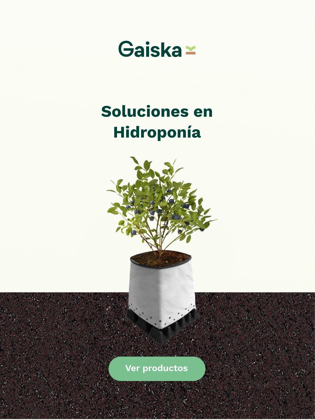 Salud y Rendimiento en el Cultivo.